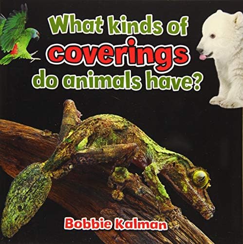 What Kinds of Coverings Do Animals Have? (All about Animals Close-Up)
