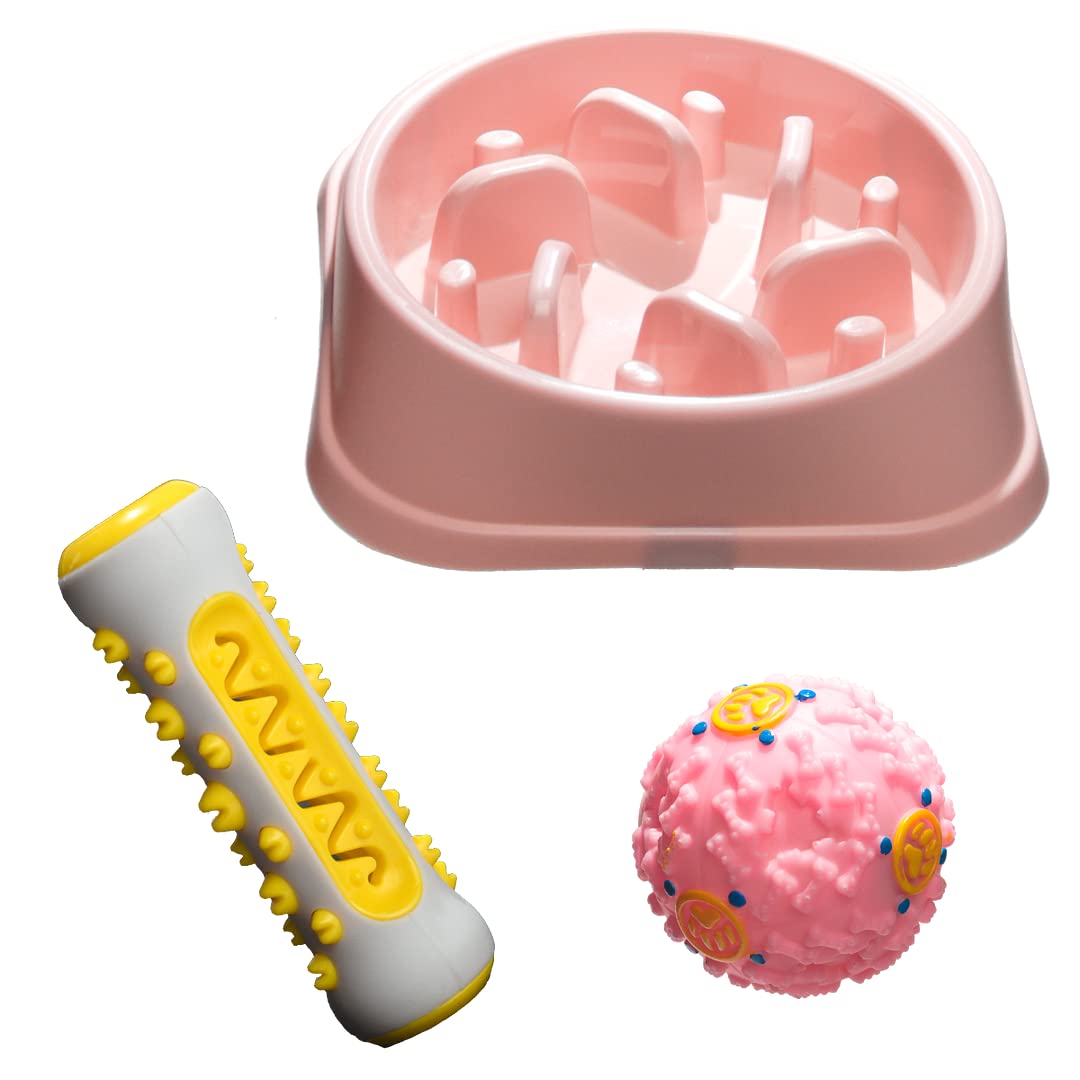 Why Does My Dog Push Her Food Around With Her Nose