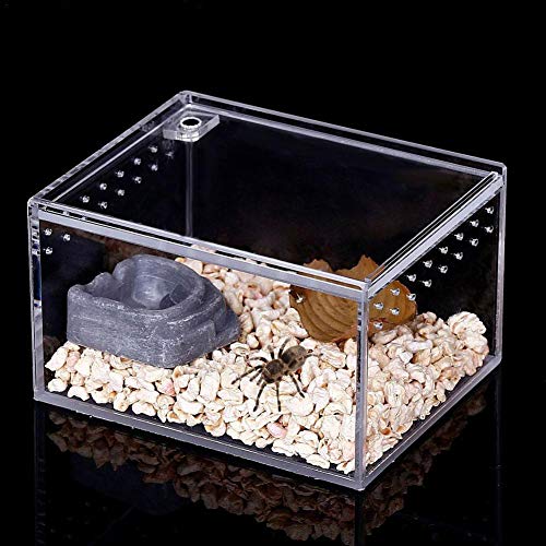 Seasaleshop Insectenterrarium transportbox | acryl voederbox | terrarium box voor insecten vogelspinnen amfibieën rupsen… - Afbeelding 6