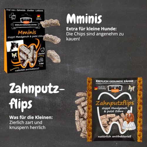 QCHEFS Snackbox Neu: Zahnputzflocken gegen Zahnstein- mit Zahnputzleckerli Zähne geputzt