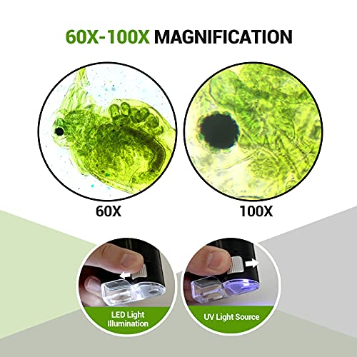 Microscopio tascabile 60x-100x,mini microscopio