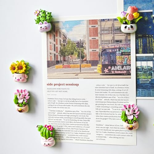 12 imanes decorativos de cactus y flores para refrigerador miniatura 4