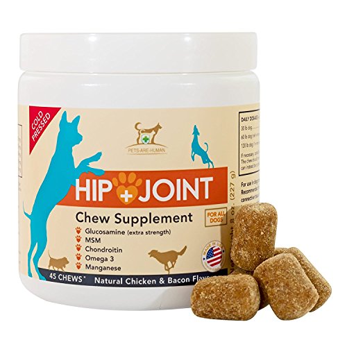 Best Glucosamine For Dogs With Hip Dysplasia 10Reviewz