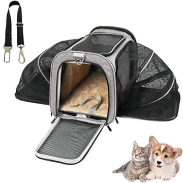 Bolsa Pet Expansivel Transporte Viagem Avião Cabine Cachorros e Gatos e Cinto de Segurança - Duke & Dixie