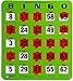 Regal Games Easy Read Green Bingo Heavy Duty 5 Ply Jumbo Shutter Slide Bingo Cards with Big Tabs (100 Pack)