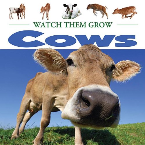  Cows