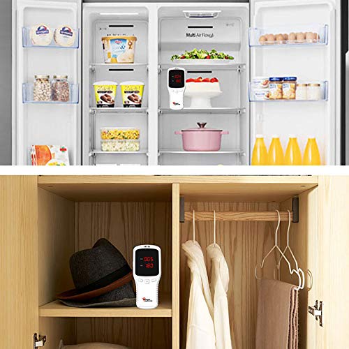 newgen medicals Ozongerät: Kompakter Akku-Ozongenerator für reine Raumluft, LED-Display, mobil (Ozongerät für Zuhause, Ozongenerator Auto, Hund)