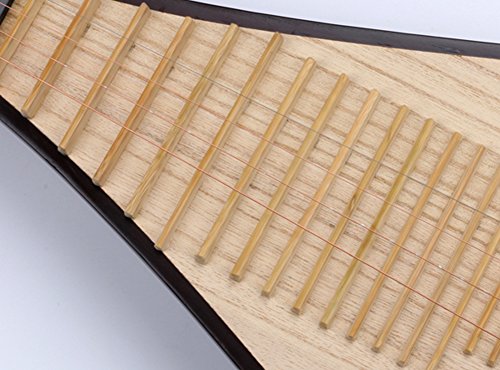 Xinghai Hardwood Chinese Lute Traditional National Stringed Instrument Peony Bones Carving Pipa For Adults #TOP6