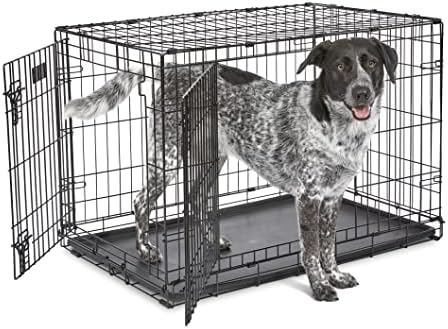 MidWest Homes for Pets Newly Enhanced Single & Double Door iCrate Dog Crate, Includes Leak-Proof Pan, Floor Protecting Feet, Divider Panel & New Patented Features