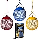 Backyard Expressions 3-Pack Metal Mesh Bird Feeders for...