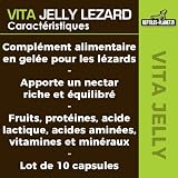Reptiles Planet Vita Jelly Mix, lot de 10 pour lézards photo 4