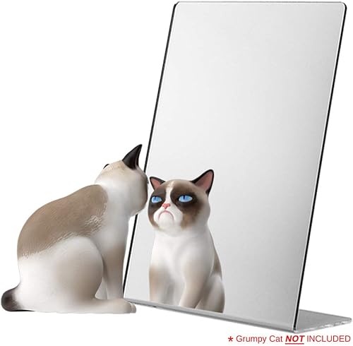 Miniatura 5 de Marketing Holders Paquete de 4 espejos acrílicos independientes de 8.5 x 11 pulgadas, soporte de Lucite portátil reflectante en ángulo para