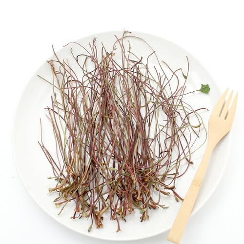 Y Ă̂ ̌s QO ̂ Y F  