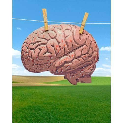 SOLOMAGIABrainwash by Sankey Magic - Card Tricks - Magic Trick