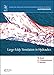 Large-Eddy Simulation in Hydraulics (IAHR Monographs)
