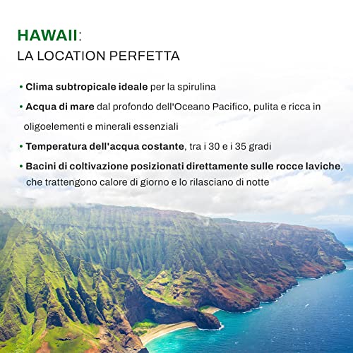 Marcus Rohrer Spirulina