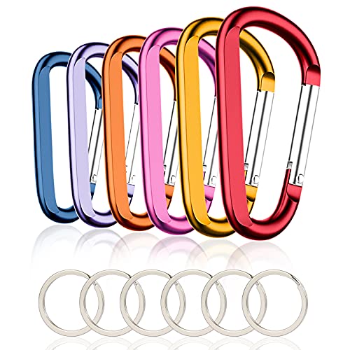 Image of CampTek Carabiner Caribeaner Clip,3 inch Large Aluminum D Ring Shape Carabeaner with Keyring Keychain Hook