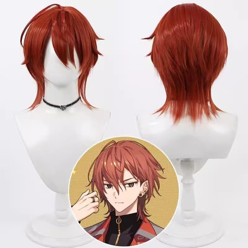 Amazon.co.jp: [モエモエヤ]西園練牙 コスプレウィッグ 朝班「R1ze