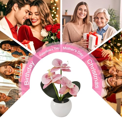 Image of Light Pink Artificial Orchid Lamp, Cordless Rechargeable LED Orchid Night Light, Valentine's Mothers Day Wedding Birthday Gift for Mom Wife Friends, Floral Light for Bedroom Indoor Home Decor