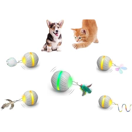 kitten giggle ball
