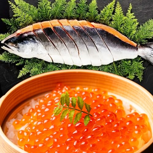 [北海道根室市] 北海道根室産 時しらず鮭1.5kg×1P・いくら醤油漬け50g×1P F-42013[配送月(年明け含む)の指定は不可]