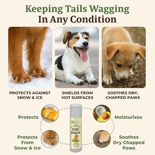 Earth’s Daughter Dog Paw Balm Big 0.56 oz – Organic Paw & Nose Protector with Beeswax, Coconut & Calendula – Itch Relief & Natural Skin Care for Dogs & Puppies – Travel Essential - Image 3