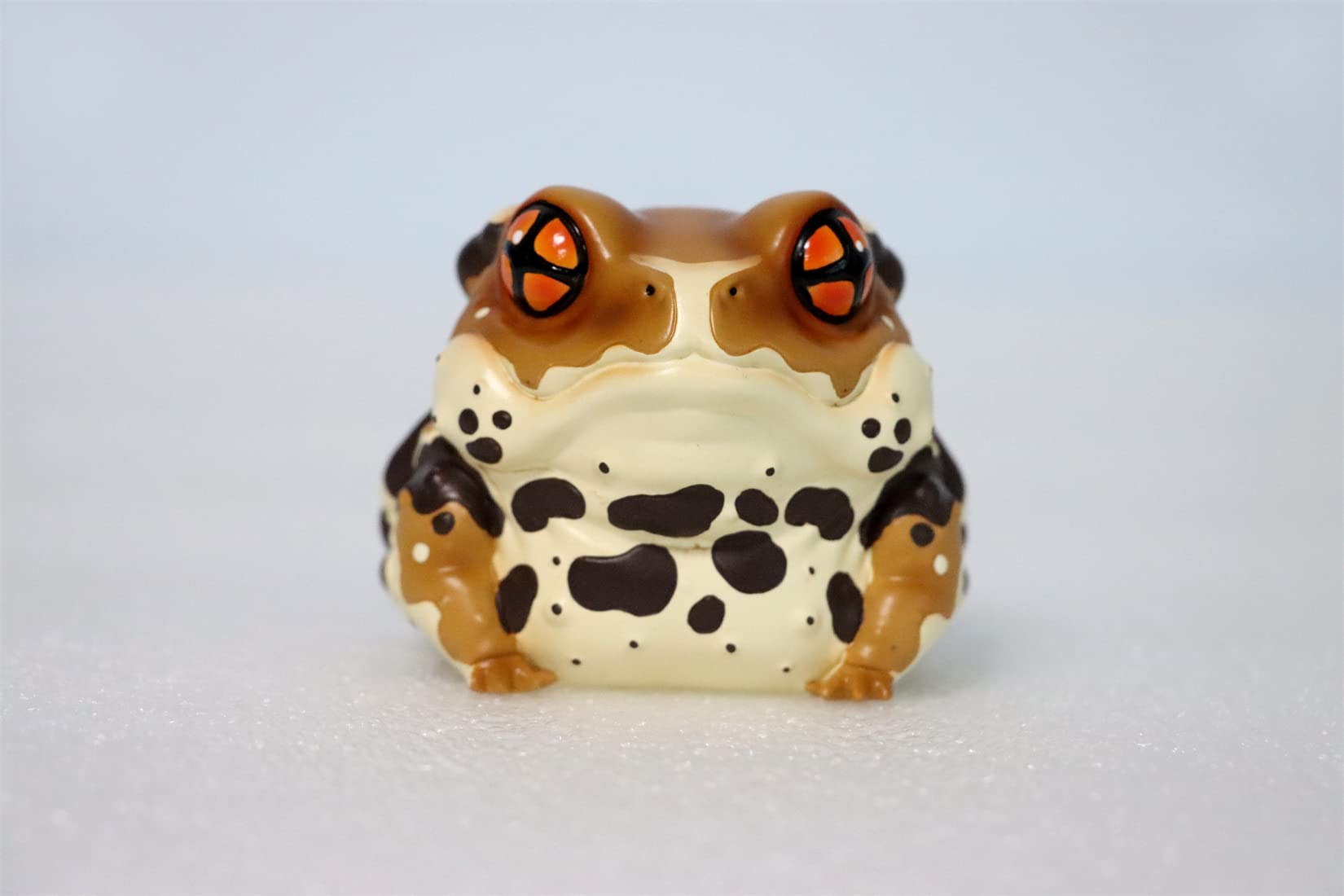 小物 Frog Amazon.com: Ebros Gift Animal Forest Whimsical Green Toad Frog On
