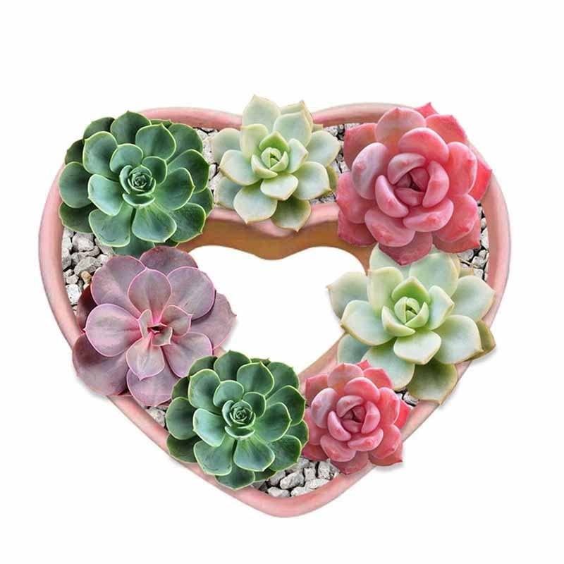 14-delige siliconen vorm, vetplanten, 3D-kaarsvorm, bloemen, gietvormen, epoxyhars, vormen voor het maken van handgemaakte geurkaarsen, zeep, chocolade, gips, harshandwerk 14-delige siliconen vorm, vetplanten, 3D-kaarsvorm, bloemen, gietvormen, epoxyhars, vormen voor het maken van handgemaakte geurkaarsen, zeep, chocolade, gips, harshandwerk