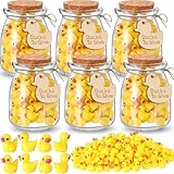 Baderke 6 Set Cute Jar of Yellow Ducks Funny Cute...