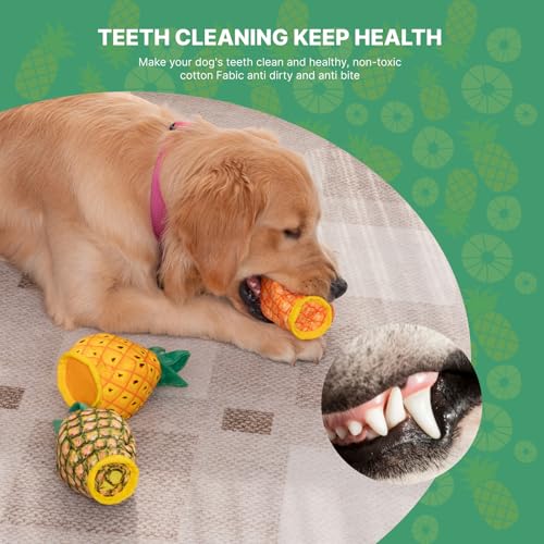 Image of No Stuffing 3pc Squeaky Dog Toys 2 in 1 Interactive Plush Dog Toy Pineapple Shaped Rip&Reveal Toy for Boredom- Perfect for Chew&Fetch Play