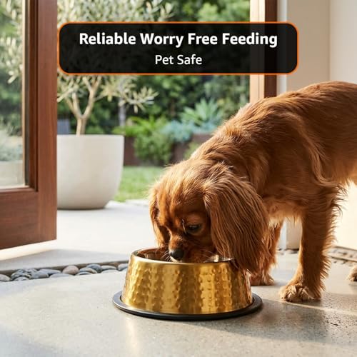 Image of Amazon Basics Stainless Steel Pet Feeding Bowls for Dog & Cats | Set of 2 | Anti Slip Base | Hammered - Copper & SS Shiny 345 ml Each