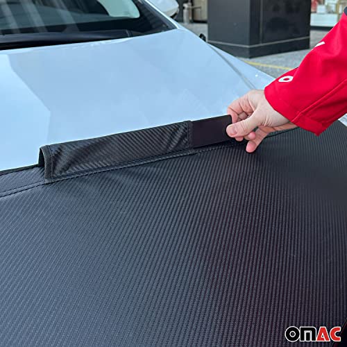 Steinschlagschutz compatible con Ford Transit Facelift 2006-2014, protector de capó carbono 5