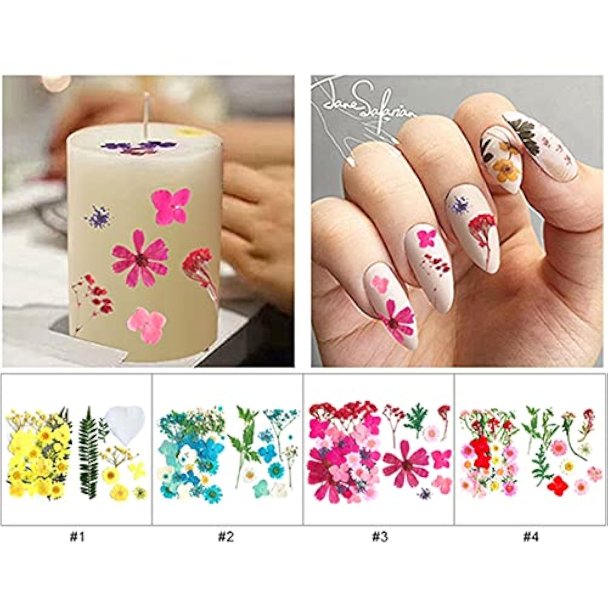 Real Dried Flower Set for DIY Craft Projects