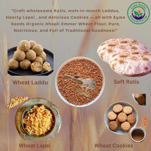 Image of Eywa Seeds & Exports Pvt Ltd Organiic Khapli Wheat Flour (15 Kg) For Eating And Cooking | Khapli Gehu Atta | Produce Of India From Organic Farms