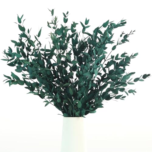 Foglie di eucalipto secche conservate steli vegetali, 8-14 rami di ghirlanda di eucalipto, eucalipto naturale da 113,4 g, per doccia, foglie blu, per ghirlande nuziali, feste, decorazioni per la casa