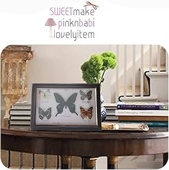 蝶の標本 フレーム入り 多種多様沖縄産　2 楽天市場】昆虫標本 蝶の標本 ゴダルティモルフォ ボリビア産