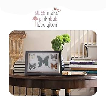 Amazon.co.jp: 絶妙な額入りの蝶、昆虫標本蝶標本ディスプレイ