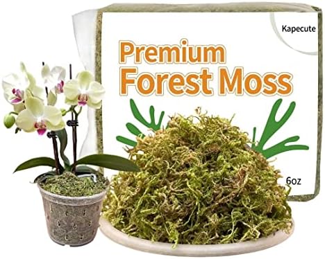 Kapecute 6oz Natural Forest Moss for Potted Plants, Good Orchid Potting Mix, Perfect for Reptile Terrarium Bedding, Indoor and Outdoor Garden Decor