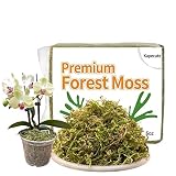 Kapecute 6oz Natural Forest Moss for Potted Plants, Good Orchid Potting Mix, Perfect for Reptile Ter