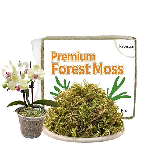 Kapecute 6Oz Natural Forest Moss For Potted Plants, Good Orchid Potting Mix, Perfect For Reptile Terrarium Bedding, Indoor And Outdoor Garden Decor #TOP2