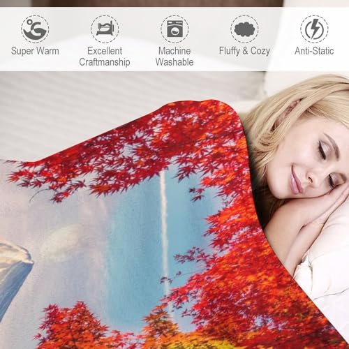 Couverture de canapé peluche pour éliminer la fraîcheur du soir avec style - 4