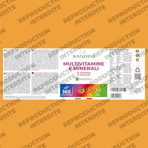 Bandini® Multivitamines et Minéraux 365 Comprimés (1 An) - 24 Nutriments Essentiels dont Vitamines A B C D E K Calcium Magnesium Zinc Fer Iode Acide Folique Biotine - Immunité, Fatigue, Cheveux, Peau – Image 7