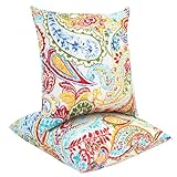 Water Resistant Outdoor Throw Pillows for Patio Furniture,18x18 Inch Decorative Pillows Set of 2 with Insert,Hidden Zipper Headrests for Sofa Couch Chair(Phoenix)