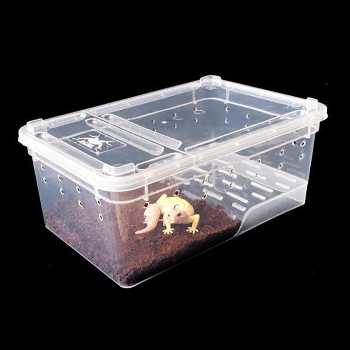 Cabilock Acquario per Rettili e Tartarughe Grande Trasparente con Piattaforma Antiscivolo, Vasca Plastica Multifunzione per Habitat Anfibi, Riproduzione e Alimentazione Animali Terrestri