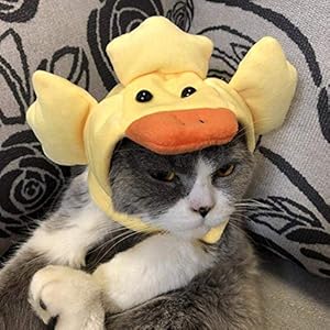  Cat-Hat-Cute-Duck-Hat-Funny-Cat-Dog-Bunny-Hat-Kitten-Soft-Outfit-Decoration-Hat-Pet-Costume-Accessories-Headwear-for-Holiday