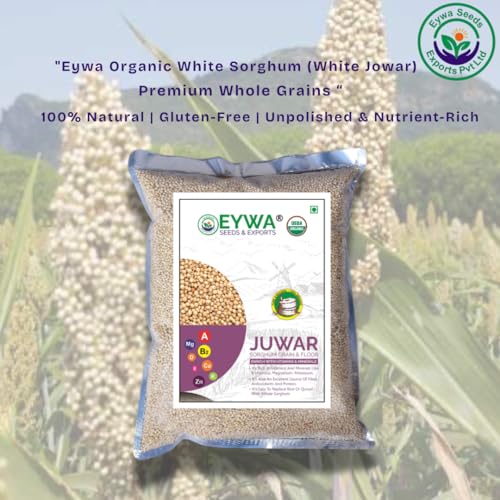 Image of Organic White Sorghum (10 Kg) /white Cholam /jovar /jonna /jola For Eating And Cooking By Eywa