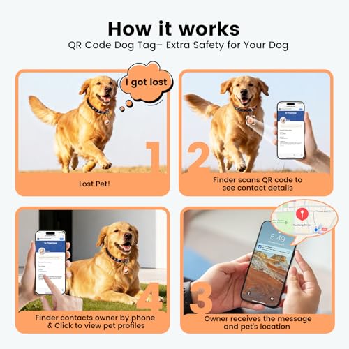Collier chien cuir AirTag réglable personnalisé avec code QR anti-perte pour petit chien