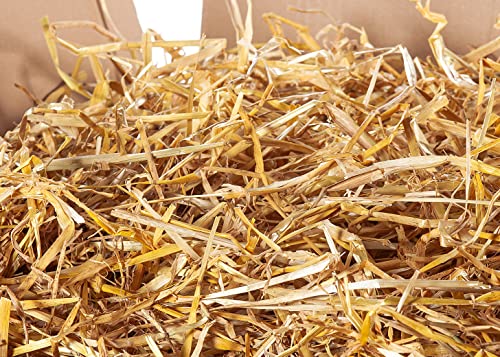Heu-Tom ® 15kg frisches Gerstenstroh Strohballen direkt ab Hof Einstreu Futter Fuer Meerschweinchen Hasen Kaninchen Hamster Pferd