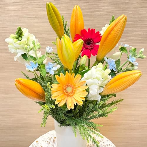 「喜びの叫び」2025-11-16