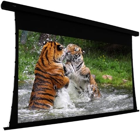EluneVision EV-T3-92-1.0 Projection Screen Motorized 110 V